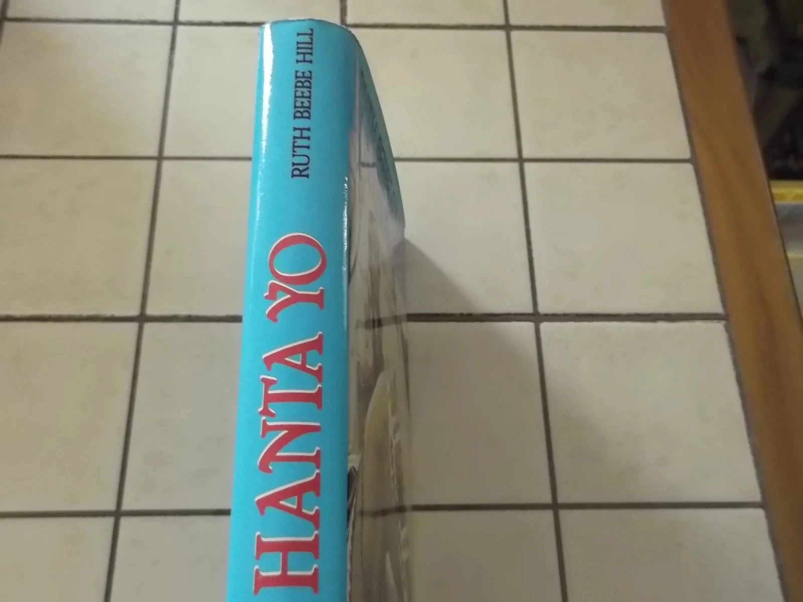 Hanta Yo een Indiase sage – photo 2